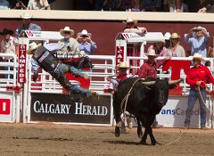 Calgary Stampede-2071